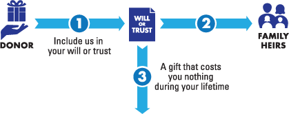 This diagram represents how to leave a gift through your will or trust – a gift that costs nothing during lifetime.